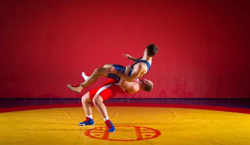 Wrestling Federation of India