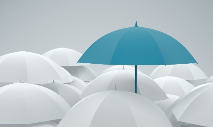 Enhancing Trust: Governance Framework for Insurers