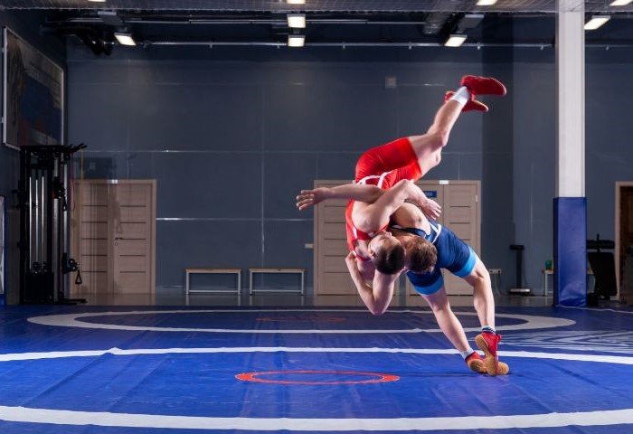 WFI Suspension Lifted: A New Chapter for Indian Wrestling